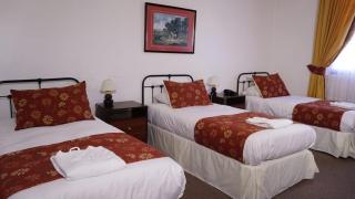 Resort Termas de Panimávida - Hotel & Spa - 4