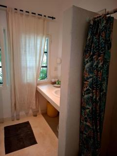 Beachfront Palm Haven - 3