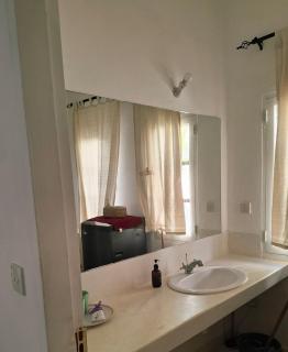 Beachfront Palm Haven - 1