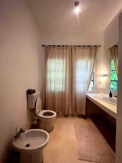 Beachfront Palm Haven - 4