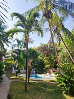 Beachfront Palm Haven - 6