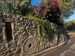 A historic STONE VILLA with private garden, terrace and private pool just for you - 1