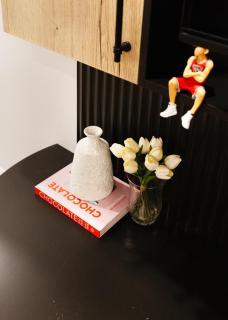 Central Getaway University of Toronto TTC Queen M - 4