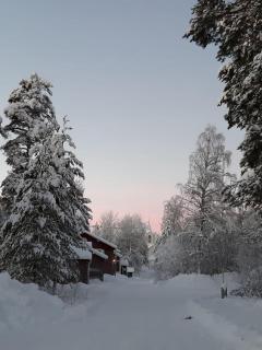 Lantlivlodge i Österjörn - Midgård - 1