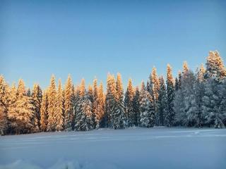 Lantlivlodge i Österjörn - Midgård - 3