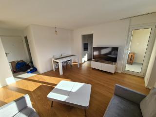 Stylish living with panoramic views just 20 minutes from Zurich HB - 3