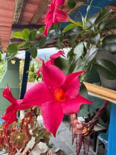 Do lado da cachoeira - 1