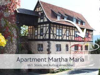 GRÄFIN MARTHA MARIA - Apartment in der historischen Hinterburg Schlitz - mit Aufzug, Parkplatz, E-Ladestation & Garten - Fulda, Alsfeld, Bad Hersfeld 25-30 Min - Hunde willkommen - Schlitz - 1