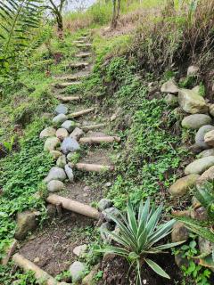 Eco-paradise in coffee heartland - 5