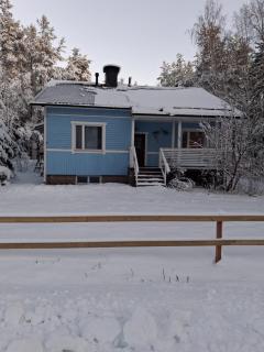 Traditional Finnish Lapland house at wild forest backyard! - 9