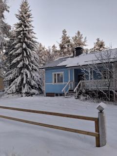 Traditional Finnish Lapland house at wild forest backyard! - 5