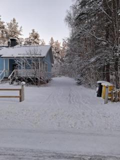 Traditional Finnish Lapland house at wild forest backyard! - 4
