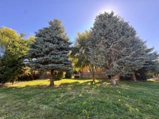 Cabañas EL CAMPITO - 7