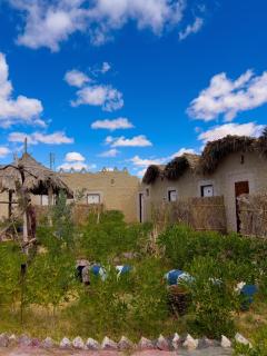 لودج ادرار احكيك - 1