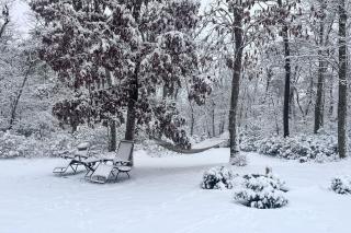 Yogis Paradise with Deck about 1 Mi to Yogaville! - 1