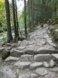 Apartmán Mumlavy - 7