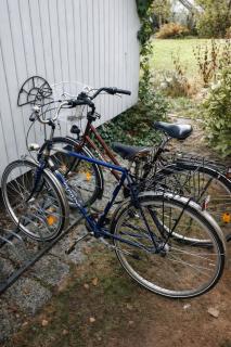 NatureCity Adventure in Camper - also in winter with heating - Ruhe, Garten, Hängematte, Heizung, AirCooler, Kaffeemaschiene, großes Bett, kostenlose Fahrräder, Outdoordusche, 25 min zum Alexanderplatz und Fernsehturm - Berlin - 1