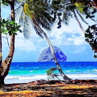 Habitation gens bois - 5