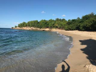 HIBISCUS Appartement 2 chambres SOUS LES COCOTIERS - 8