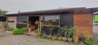 Hostal Arboretum cafeteria & jardin - 0