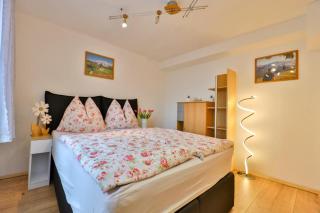 Haus Pinter in Schladming - Dachstein Region - 4