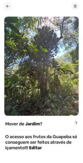 Loft com piscina natural em Cachoeiras de Macacu - 9