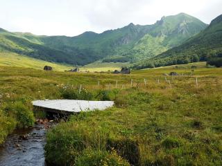 Les Chenets - Chambon-sur-Lac - 9