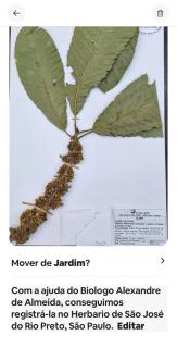 Sítio com piscina natural Cachoeiras de Macacu - 9