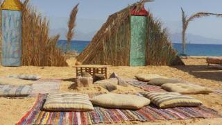 Salt water Camp Nuweiba - 8