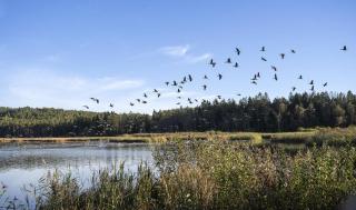 Peaceful rural oasis close to Torp and Stokke town centre - 2