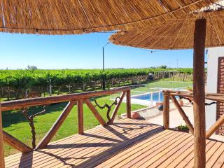 Cabañas en Bodega y viñedos - 8