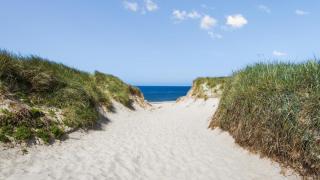 Villavilla 610 - Bjerregård, Vestjylland - 1