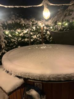 't Tjilpplekje, 4-persoons chalet met privé hottub - 2