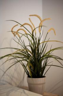 SkyMare LVH Apartment - 9