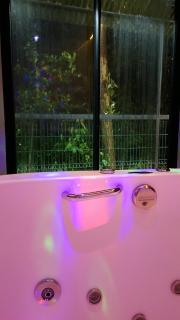 Chalé Ecos do Jucu sauna-ofurô-piscina aquecida-wifi - 9