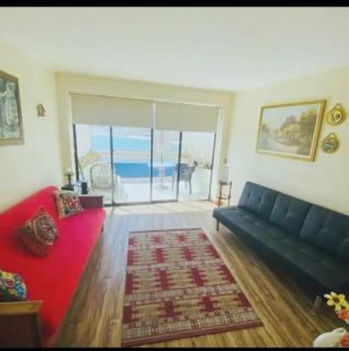 Hermoso Departamento con vista paronamica al mar - 1