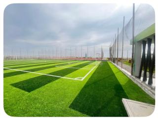 Chincha CasaLed y jacuzzis sol todo el año - 4