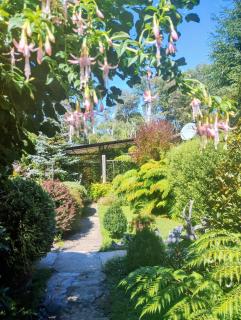 Cabaña Petalos Villarrica bungalows 3 personas - 8