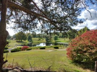 The Cottage Inn At Amos Lake - 6