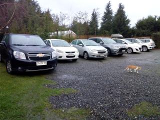 Cabaña Petalos Villarrica bungalows 3 personas - 1