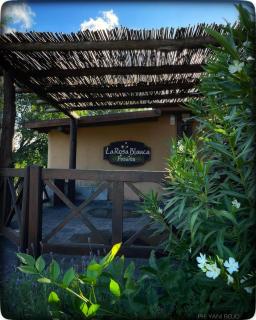 La Rosa Blanca Posada Boutique - 2