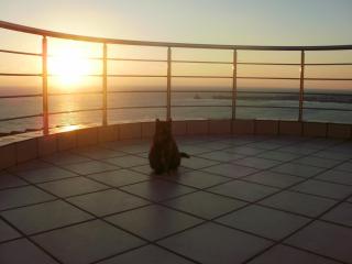 Charly Point Villa - Methoni - 0