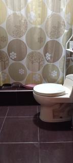 Casa del Olivar Pisco - 6