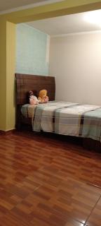 Casa del Olivar Pisco - 1