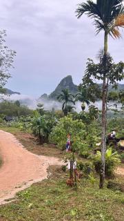 สวนหินเขาแม่พันธุรัตน์โฮมสเตย์ & แคมปิ้ง กงหรา พัทลุง - 2