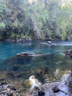 Casa de Campo Familiar - 5