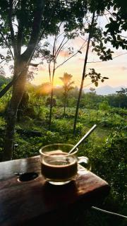 สวนหินเขาแม่พันธุรัตน์โฮมสเตย์ & แคมปิ้ง กงหรา พัทลุง - 6