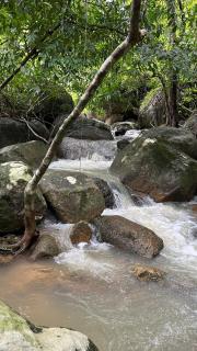 สวนหินเขาแม่พันธุรัตน์โฮมสเตย์ & แคมปิ้ง กงหรา พัทลุง - 7