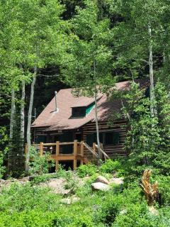 Brighton Log Cabin - 8