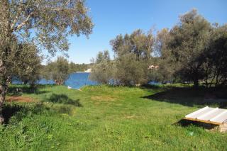 Apartments by the sea Luka - Dugi otok - 8151 - 1